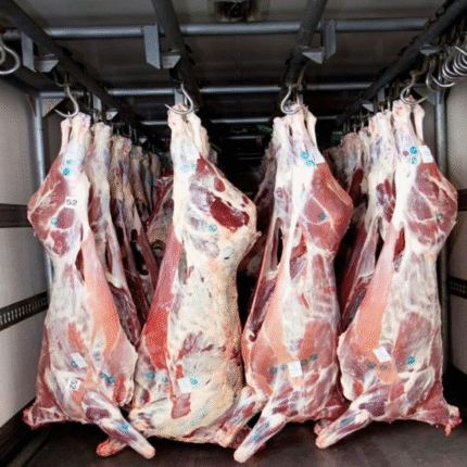 Slaughtered Sheep Meat - 13 to 16Kg